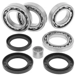 Quadboss Differential Bearing And Seal Kit Rear Arctic Cat 25-2101. Fixed Price $73.34.