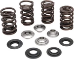 Kibblewhite Lightweight Racing Valve Spring Kit Titanium 20-20360. Fixed Price $240.51.