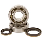 1994-2002 Suzuki Rm 250 Dirt Bike Hot Rods Main Bearing And Seal Kit. Fixed Price $84.07.