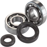 Moose Racing 24-1115 Crank Bearing And Seal Kit. Fixed Price $160.95.