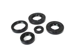 Complete Engine Bottom End Oil Seal For Kawasaki KX250 1974-1978. Fixed Price $22.50.