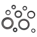 Tusk 133-914-0066 Engine Oil Seal Kit. Fixed Price $27.81.