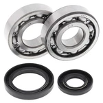 New Balls Racing Crank Bearing And Seal Kit 24-1017 For Suzuki Rm 250 86-88. Fixed Price $92.99.