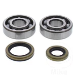 Balls Crankshaft Bearing Kit With Seals 24-1119 Fits Gas Ec 125 13-16. Fixed Price $95.56.
