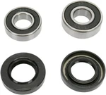 Pivot Works PWRWK-Y25-008 Wheel Bearing Kit. Fixed Price $29.99.