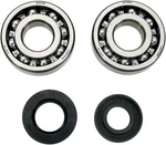 Moose Racing A24-1009 Crank Bearing And Seal Kit. Fixed Price $93.95.