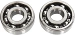 Hot Rods Counter Balancer Bearing Kit For Arctic Cat 400 Dvx 04-14. Fixed Price $61.61.