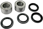 Pivot Works Front Wheel Bearings Kit For Suzuki King Quad LTA450 4X4 08-10. Fixed Price $91.01.