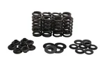 Kibblewhite 30-33800 Lightweight High Performance Beehive Valve Spring Kit. Fixed Price $65.88.
