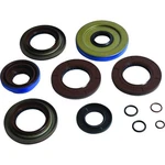 Balls Transaxle Seal Kit 25-2124-5 Polaris Ranger 1000 Diesel 16-17. Fixed Price $137.62.