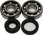 Balls 22-41008 Crankshaft Bearing & Seal Kit Ktm Husqvarna Gasgas New Oem. Fixed Price $66.13.