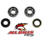 Balls 24-1070 Crankshaft Bearing & Seal For 1973-77 Suzuki TS100. Fixed Price $60.23.