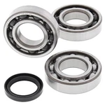 Balls Crank Shaft Bearing Kit #24-1090 Polaris. Fixed Price $108.57.