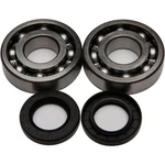 Balls Crankshaft Bearing/seal Kit 24-1011. Fixed Price $111.27.