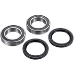 Factory Links Rear Axle Bearing Kit ARA-S-002. Fixed Price $33.30.