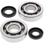 Moose Crank Bearing & Seal Kit Fits Kawasaki KX250 2002-2007. Fixed Price $75.21.