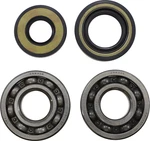 Vintco Main Bearing Kit KMB004. Fixed Price $48.45.