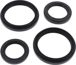 Balls 2006 400 4X4 Auto Arctic Cat Differential Seal Kit 25-2050-5. Fixed Price $35.47.