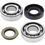 Balls Crank Shaft Bearing Kit 24-1083. Fixed Price $64.33.