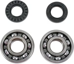 Moose Racing Crank Bearing And Seal Kit Fits Yamaha YZ125 05-14 0924-0019. Fixed Price $83.69.