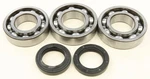 Balls 24-1084 Crankshaft Bearing And Seal Kit. Fixed Price $113.34.