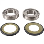 Pivot Works Steering Stem Bearing Kit PWSSK-Y10-000. Fixed Price $57.95.