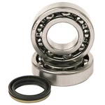 2007-2009 Suzuki Rmz 250 Dirt Bike Hot Rods Main Bearing And Seal Kit. Fixed Price $101.93.