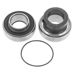 2003 Arctic Cat Zr 900 Lower Shaft Balls Drive Bearing And Seal Kit. Fixed Price $51.51.
