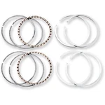 Hastings Piston Rings - Twin Cam 2M4941005. Fixed Price $101.23.