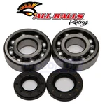 Balls Crank Bearing And Seal Kit For 1980-1984 Kawasaki KDX250 Engine Jj. Fixed Price $95.12.
