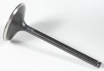 Kpmi Black Diamond Intake Valve Engine. Fixed Price $37.99.