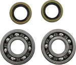 Vintco Main Bearing Kit KMB009. Fixed Price $58.99.