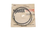 New Oem Yamaha 5V7-11610-+21-00 Piston Ring Kit Nos. Fixed Price $24.99.