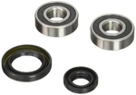 New Pivot Works Wheel Bearing Kit PWFWS-S14-000 For Suzuki 650 Burgman 07-09. Fixed Price $21.12.