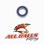 Balls Racing 6003-2RS-C3 Premium Bearing With Double Lip Seals. Fixed Price $10.30.