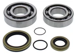 Balls Crankshaft Bearing Kit For Gas Ecranger 300 20. Fixed Price $90.99.