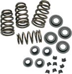 S&s Cycle Sidewinder .650" Valve Spring Kit 9000050. Fixed Price $254.95.