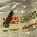 Yamaha 95024-06030-00 Bolt Flange Star Venture Kodiak Big Bear FZR1000 Oem. Fixed Price $24.99.
