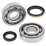 Balls Racing Crank Bearing And Seal Kit 24-1060 For Suzuki Rmx 250 95-99 New. Fixed Price $102.63.