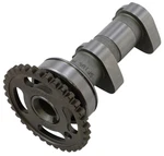 Hot Stage Intake Camshaft (2185-1IN). Fixed Price $225.00.