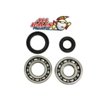 Balls Crankshaft Bearing And Seal Kit For Suzuki RM250 1982-1985 24-1069. Fixed Price $66.14.