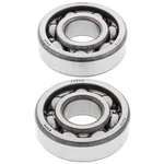 Balls Crank Shaft Bearings 24-1031 Can-am Renegade 110 23-25 New Ships Today. Fixed Price $53.08.