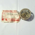 Kawasaki KX250, KXF250, KXT250 Big End Bearing Nos 13034-1060 (8176). Fixed Price $21.50.