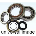 Balls Crankshaft Bearing Kit 24-1126. Fixed Price $67.64.