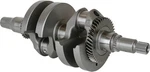 Hot Rods Complete Crank Assemblies 0921-0953 421-HR00231 144942. Fixed Price $1010.75.