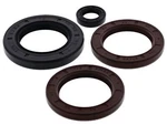 Vertex Engine Oil Seal Kit (622206). Fixed Price $47.23.