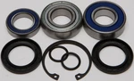 Balls 14-1068 Chain Case Bearing And Seal Kits. Fixed Price $52.20.