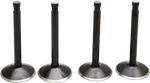 Kibblewhite 20-22500 Valve Kit Fits 78-83 Shovelhead (80"). Fixed Price $105.90.