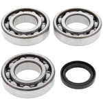 Balls Crank Shaft Bearing Kit #24-1076 Polaris. Fixed Price $95.43.
