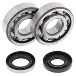 New Balls Racing Crank Bearing Kit 24-1109 For Husqvarna Wr 250 98. Fixed Price $94.10.